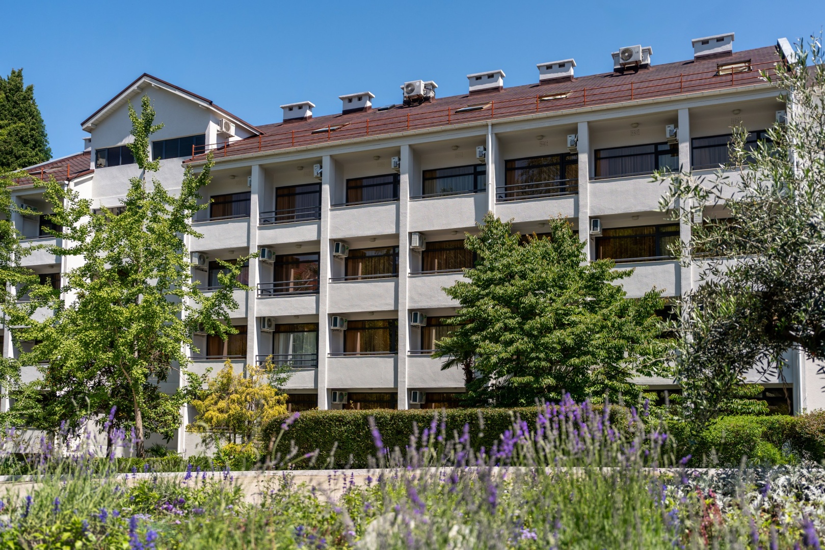 Пансионат Сокол 3*